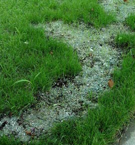 This dead patch has been repaired with an all-in-one combination of  grass seed, starter fertilizer and paper mulch.