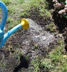 Fix bare spots by removing dead grass, loosening the soil and applying GreenView Lawn Repair.