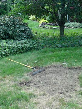 Repairing a dead patch in the lawn