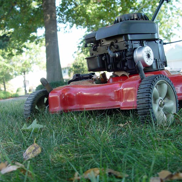 is it bad to mow your lawn when it's wet