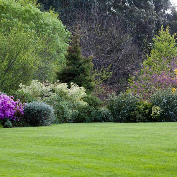 Spring lawn care What to do first? • GreenView