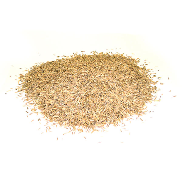 Secrets to Choosing TopRated Grass Seed • GreenView Fertilizer