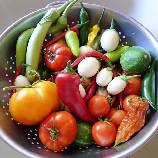 Tips for Making the Most of Your Garden Harvest • GreenView