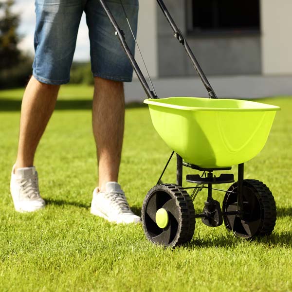 Should I Lime My Lawn? • GreenView