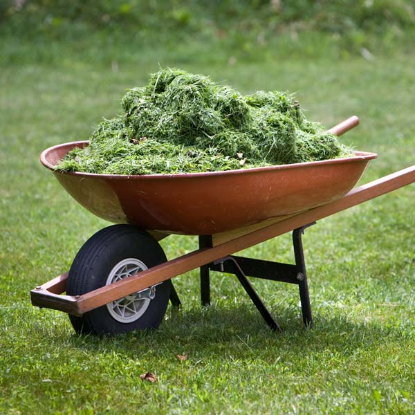 Can Grass Clippings Be Used to Mulch the Vegetable Garden? GreenView