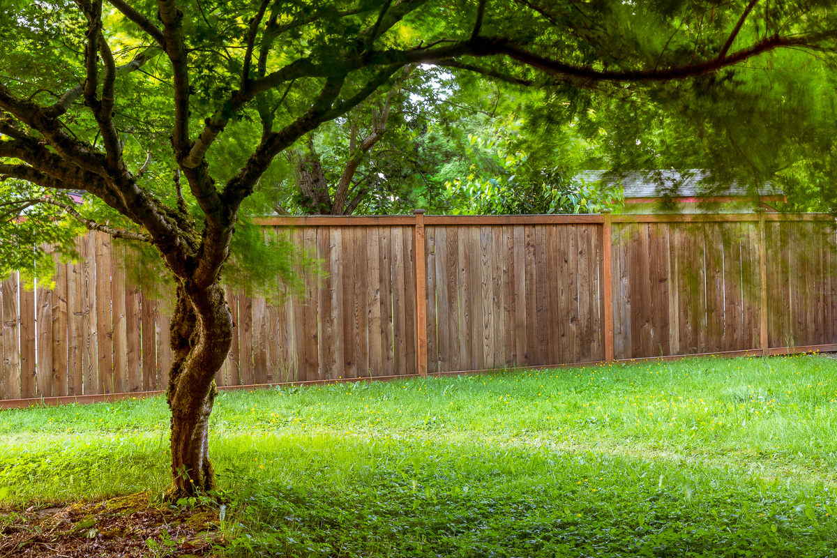 Grass and trees deals
