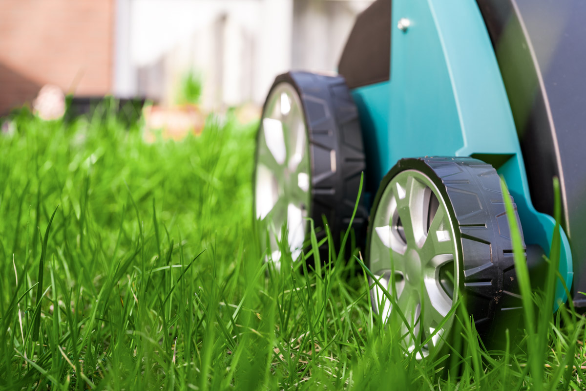 Difference Between Aerator And Scarifier at Betty Dixon blog