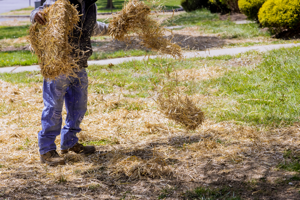 http://www.greenviewfertilizer.com/media/1625/straw.jpg