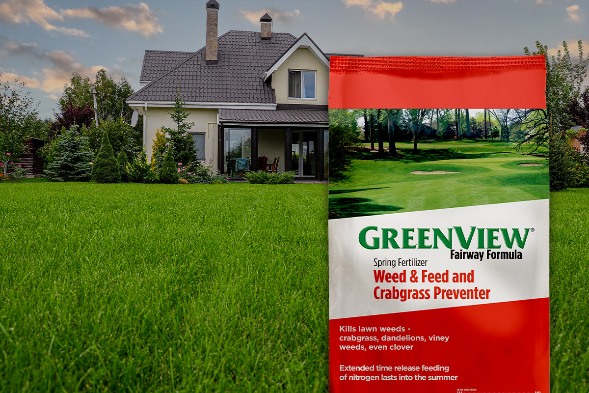 Everything You Need To Know About Weed And Feed GreenView common-weeds-in-lawns-tunersread