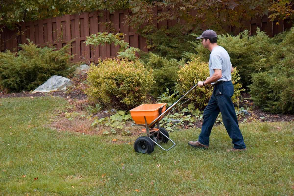 Fall Lawn Fertilization The Best Time to Fertilize • GreenView