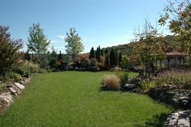 fertilized lawn