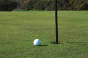 ball on putting green