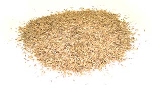 GreenView grass seed