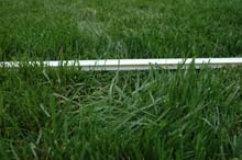 hole in the lawn
