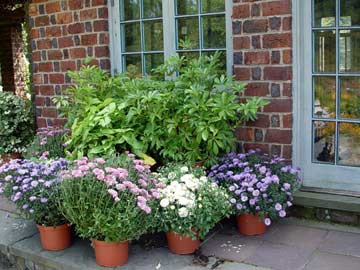 Container arrangement
