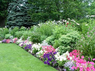 Mixed garden border in pastels