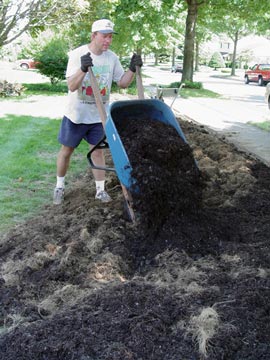 Improving planting beds