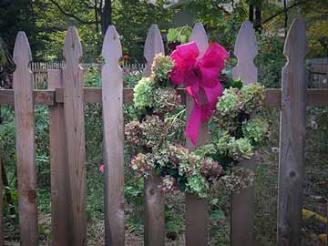 Natural wreath with dried Hydrangea flower heads