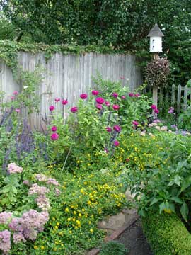 Pollinator garden