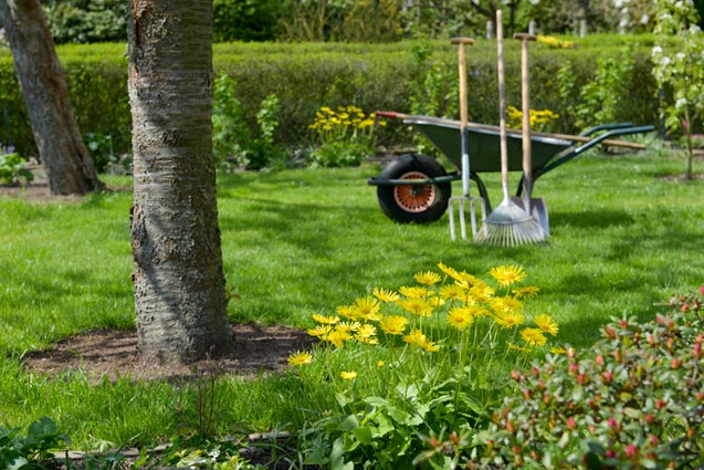 Spring Lawn Care What To Do First Greenview