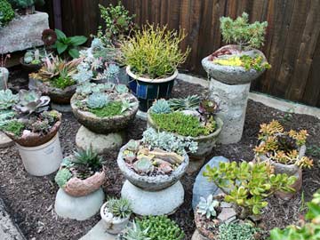 Succulent hypertufa garden