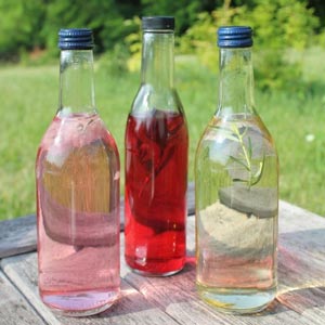 Red Basil, French Tarragon and Chive Blossom vinegars.