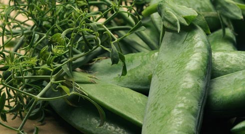 Pea Masterpiece