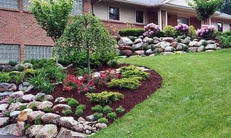 Hardscaped front yard