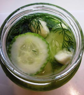 Refrigerator pickles