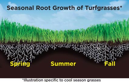 Hardier Lawns Start With Fall Fertilization • GreenView Fertilizer