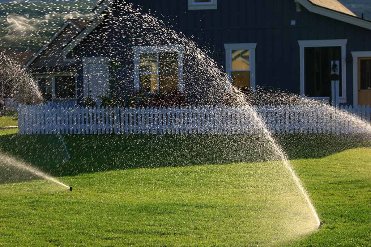 Sprinklers covering a lawn