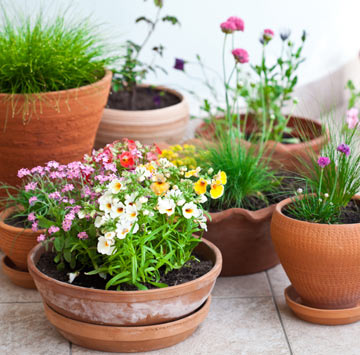 portable container garden