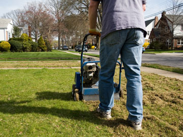 Dethatching a lawn.