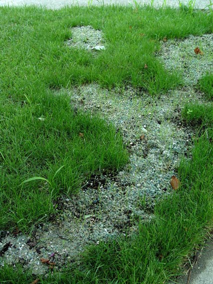 How To Fix Dead Patches In The Lawn Greenview Fertilizer This Dead Patch Has Been Repaired With An All In One Combination Of Gr