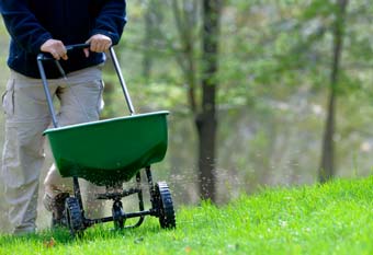 fertilizer spreader