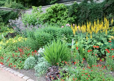 Crathes perennial garden