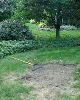 Fix bare spots by removing dead grass, loosening the soil and applying GreenView Lawn Repair.