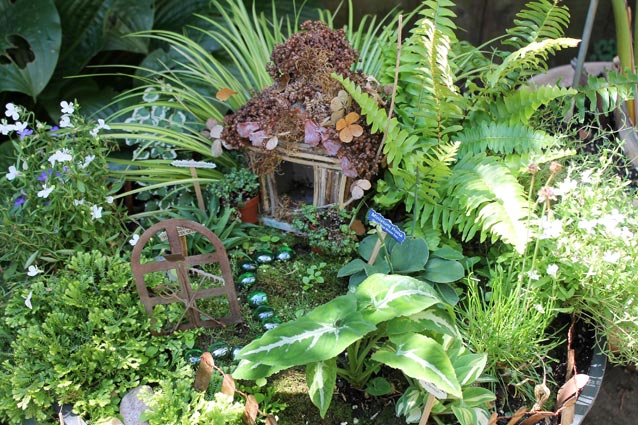  How to Create a Fairy Garden