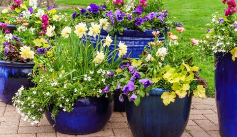 Containerscaping