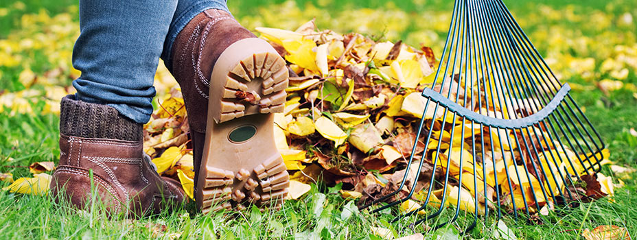 lawn care products