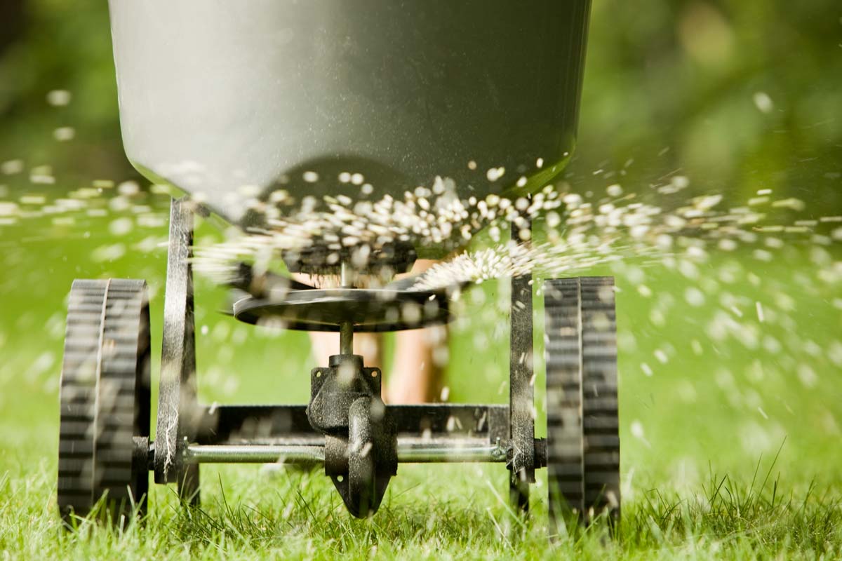 What is Lime & How to Tell if Your Lawn Needs It • GreenView