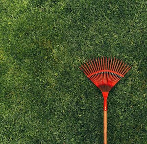 Rake on lawn Rake on lawn