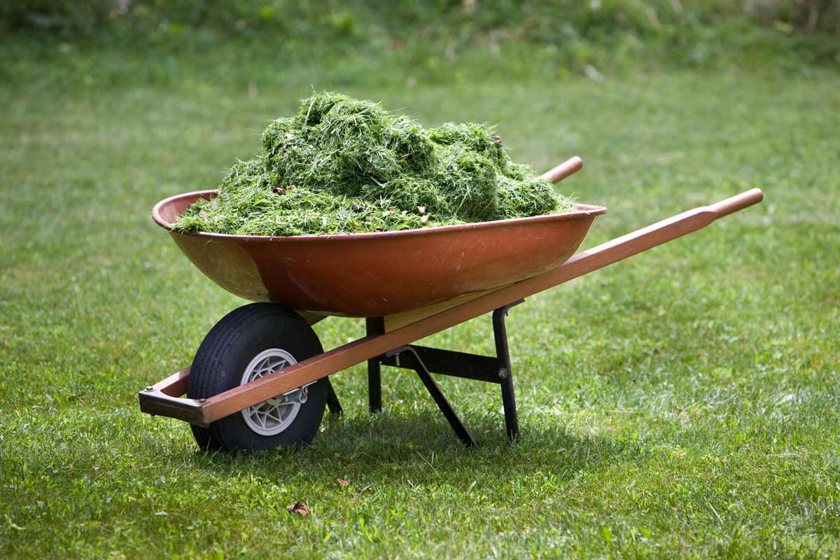 Can Grass Clippings Be Used to Mulch the Vegetable Garden? GreenView