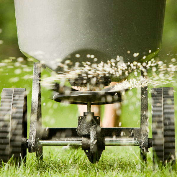 Spreading fertilizer on lawn