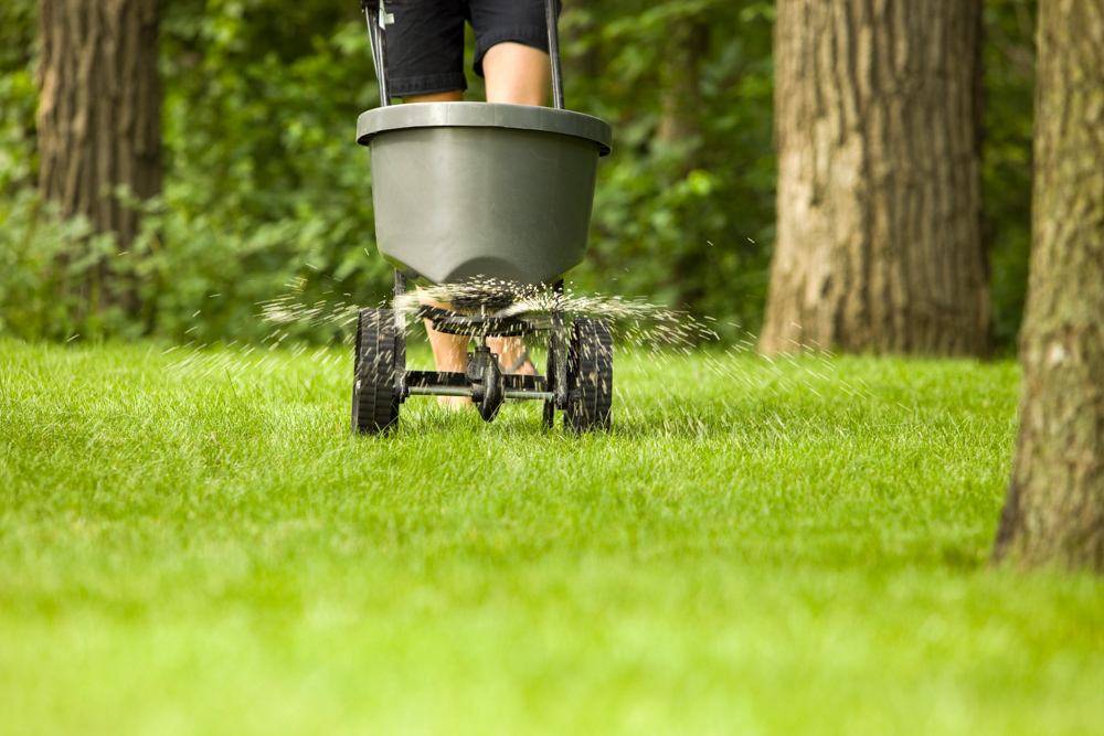 Fertilizing
