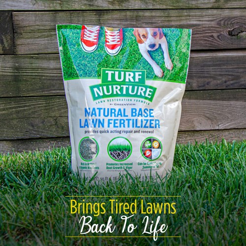 Turf Nurture