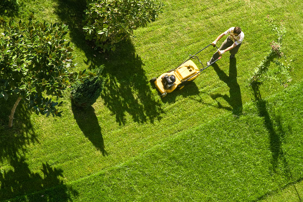 Aerial Mowing