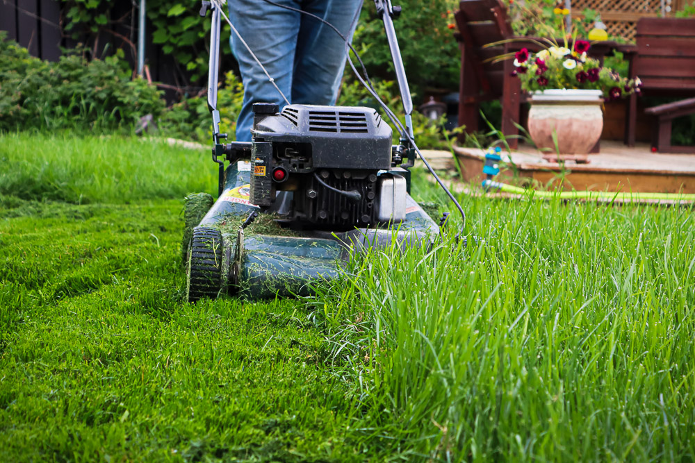 Mowing the lawn.