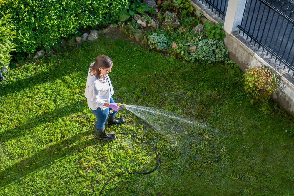 Watering the lawn