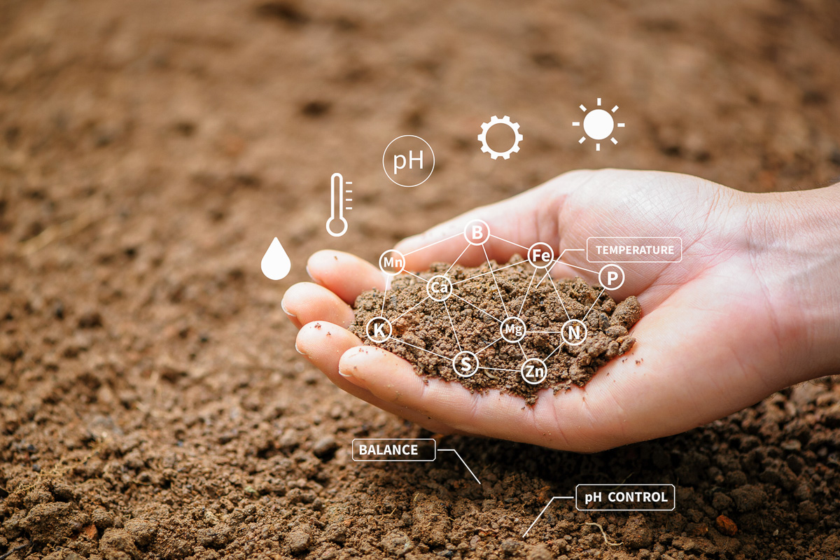 SoilNutrition